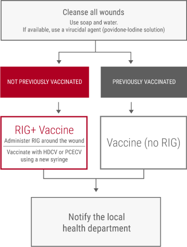 Centers for Disease Control and Prevention(CDC) recommendations for postexposure prophylaxis.