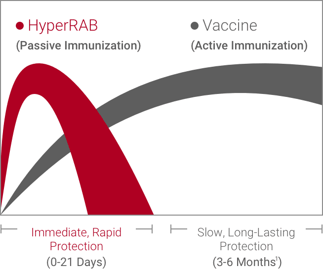 Human Rabies Immune Globulin (HRIG) provides critical, immediate protection.