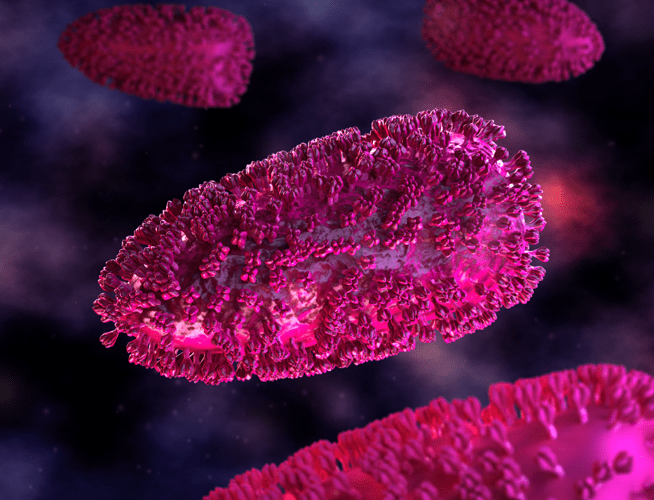 Close up rendering of the rabies virus