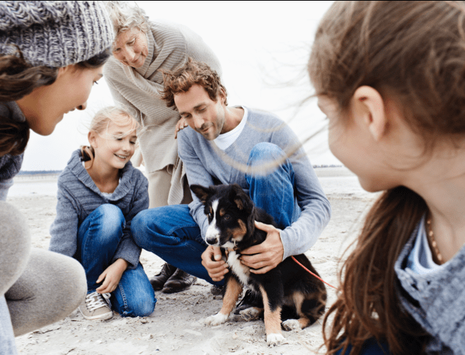 A family with their pet puppy on the beach